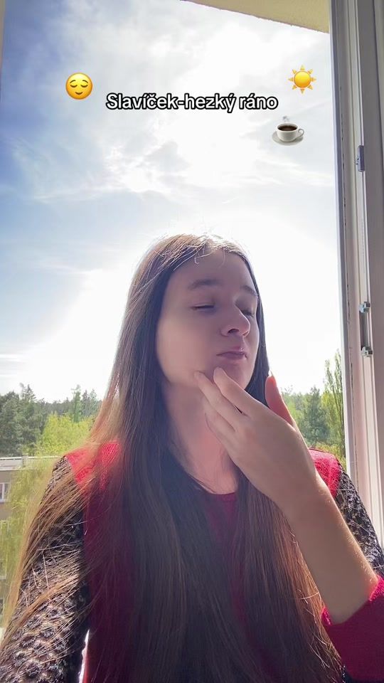 TikTok video thumbnail by misa_vins