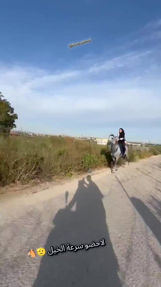 TikTok video thumbnail by horses.women