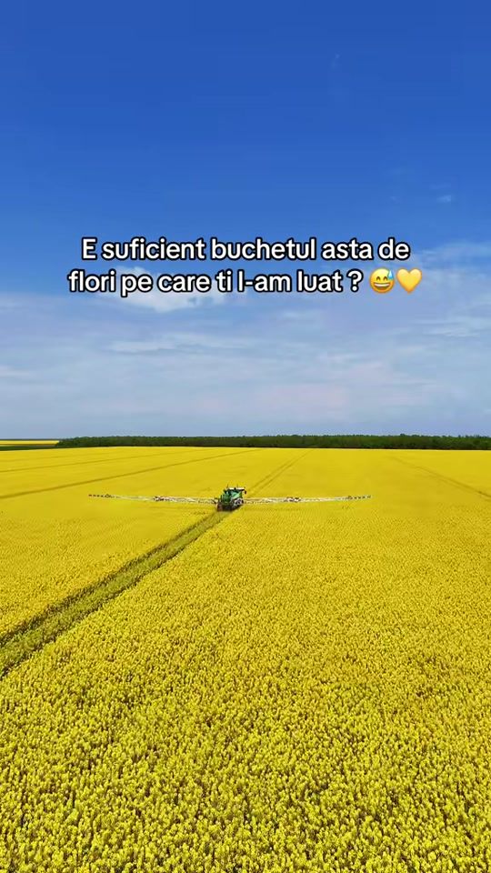 TikTok video thumbnail by florin.nae277