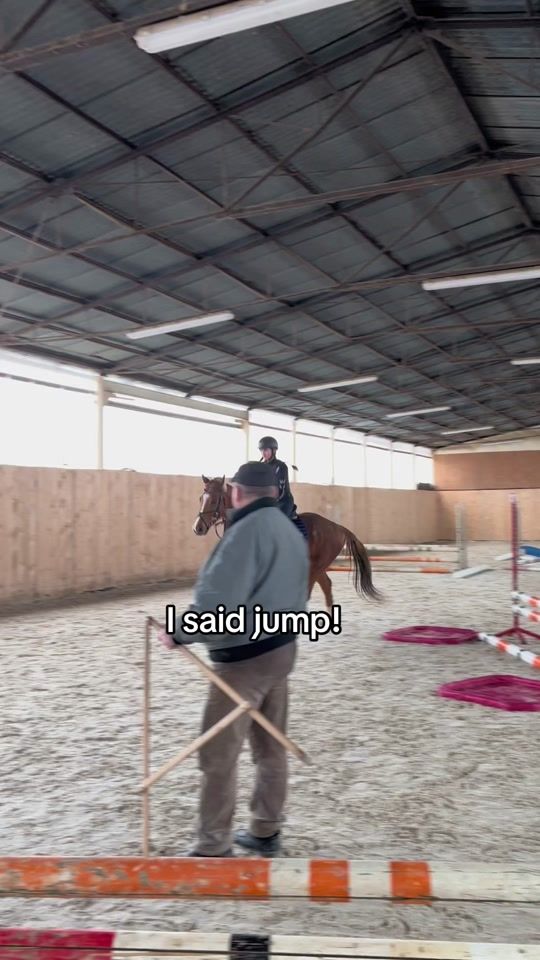 TikTok video thumbnail by three_crazy_ponies