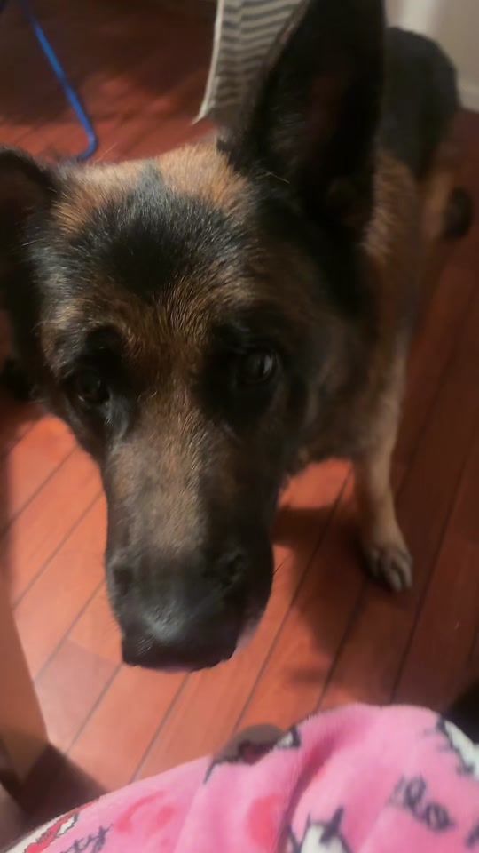 TikTok video thumbnail by siljemariek