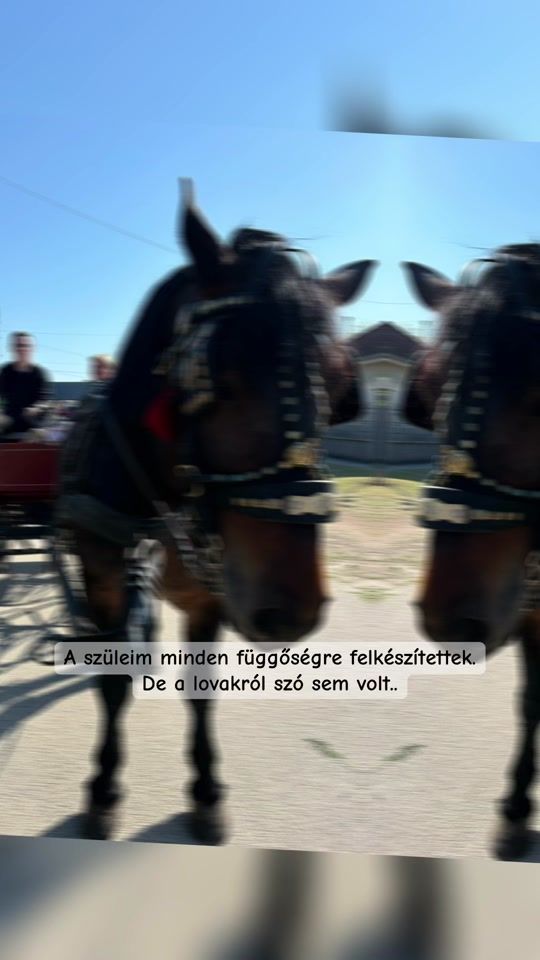 TikTok video thumbnail by princz_d