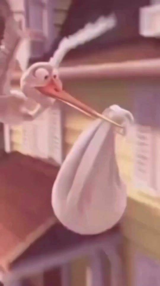 TikTok video thumbnail by rene.rendy
