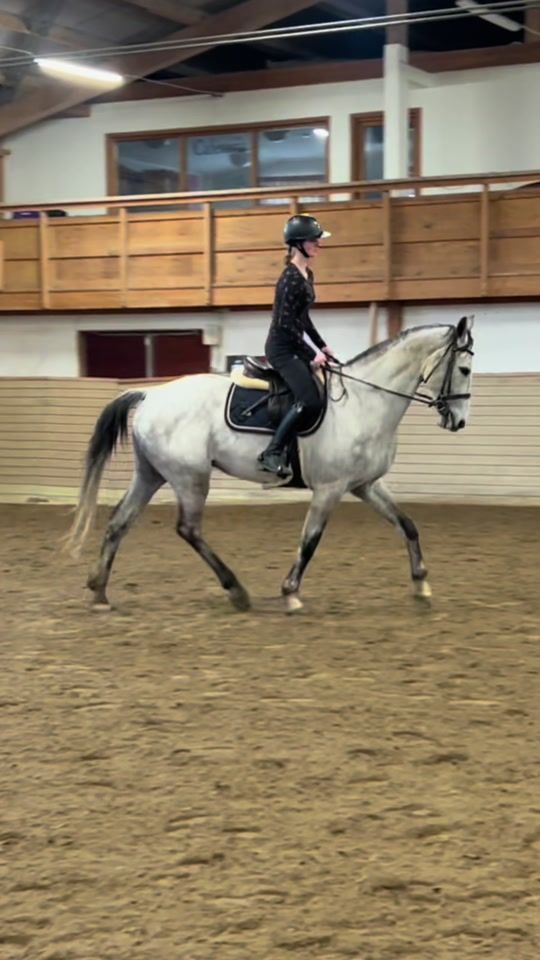 TikTok video thumbnail by equi.linnea
