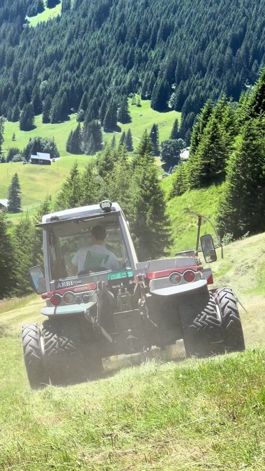 TikTok video thumbnail by swissmeli