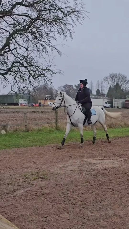 TikTok video thumbnail by equinerach_