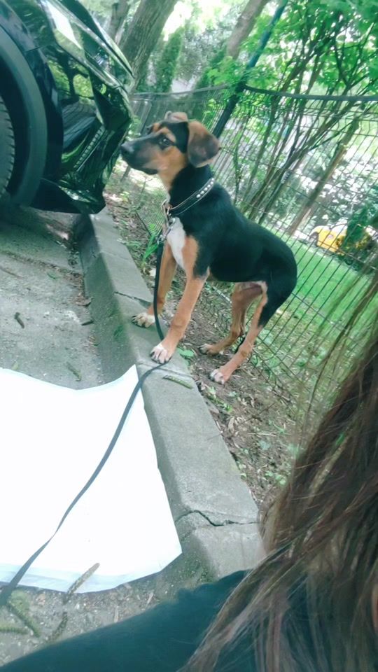 TikTok video thumbnail by __loret__