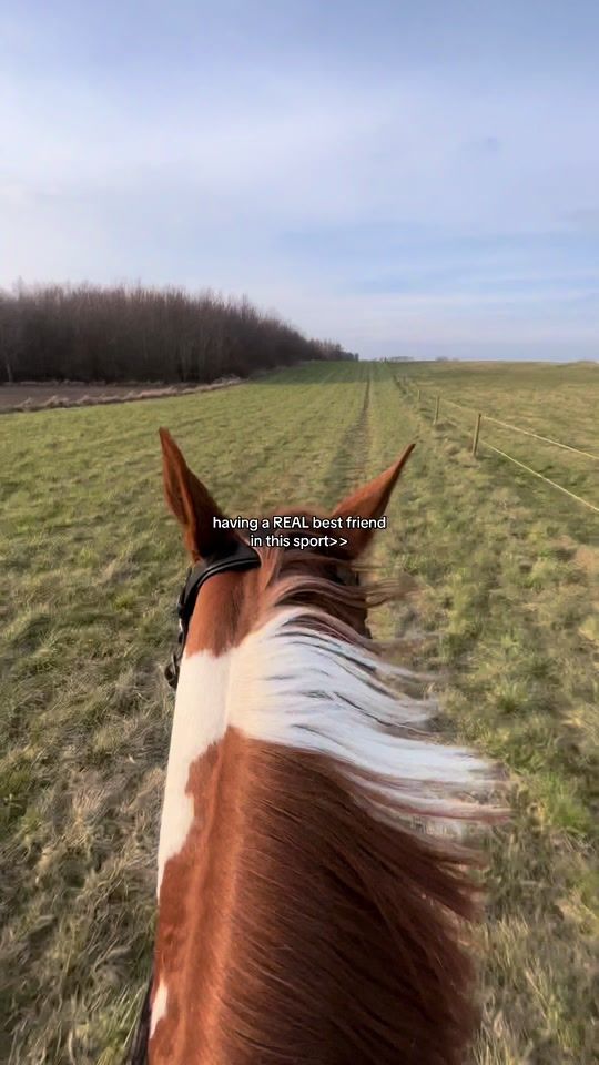 TikTok video thumbnail by sofielshowjumper