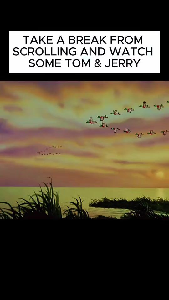 TikTok video thumbnail by nostalgictoons20th