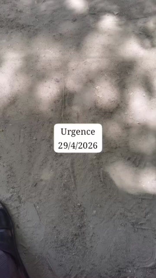 TikTok video thumbnail by infostchad