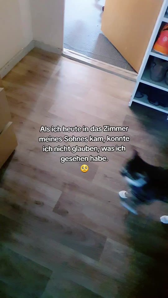 TikTok video thumbnail by llaureena
