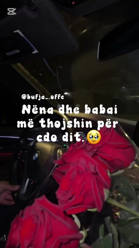 TikTok video thumbnail by _anna_bela
