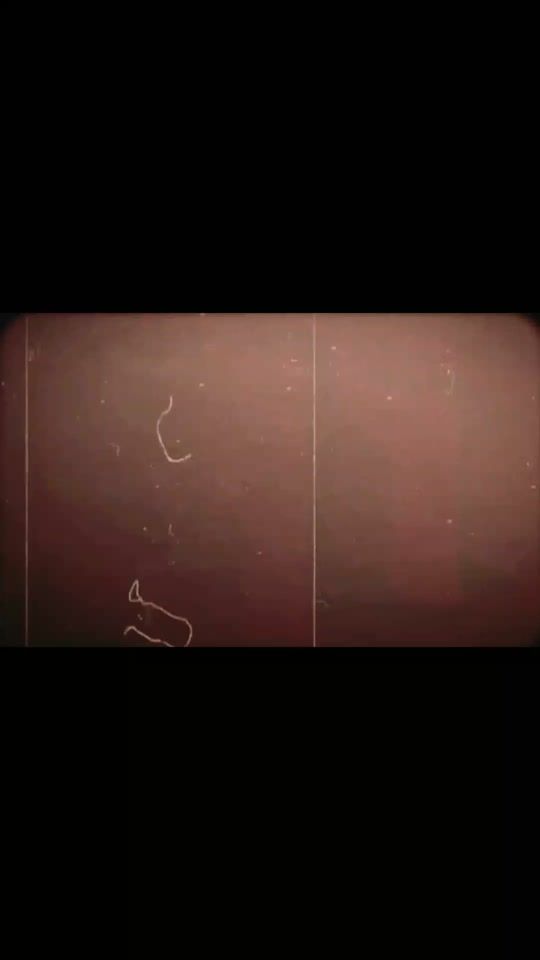 TikTok video thumbnail by baghi..malang