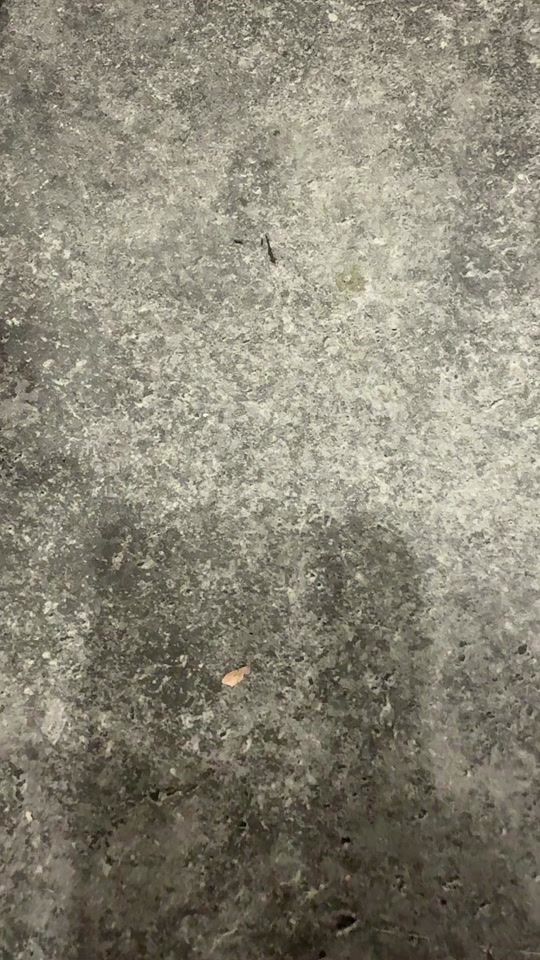 TikTok video thumbnail by vanessa_15_033