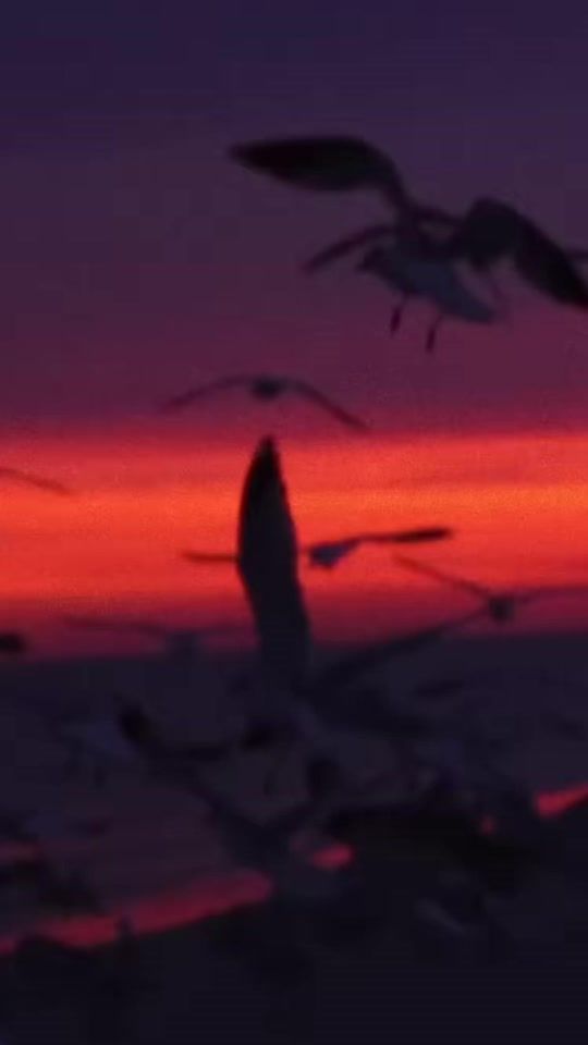 TikTok video thumbnail by goldenrecordsgr