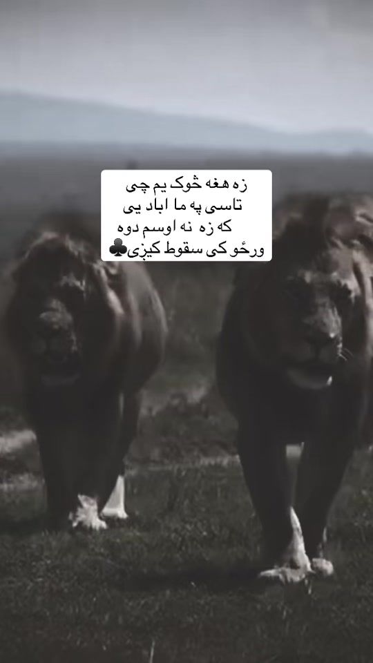 TikTok video thumbnail by a__l__i430