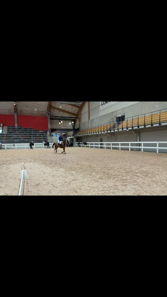 TikTok video thumbnail by lovisa.g3