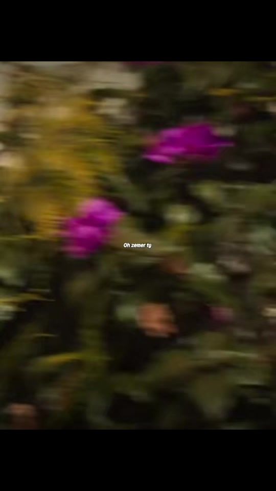 TikTok video thumbnail by esra.lyrics