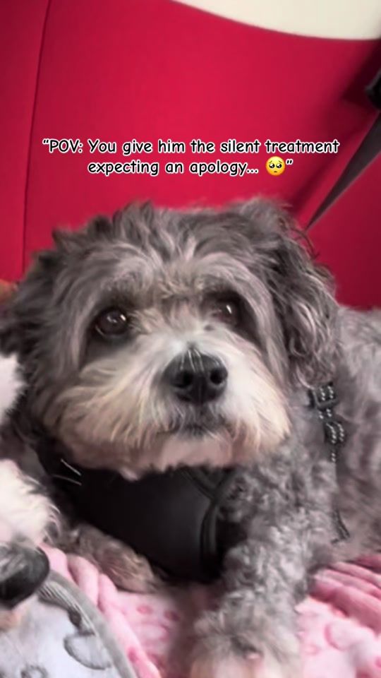 TikTok video thumbnail by cindylooper1