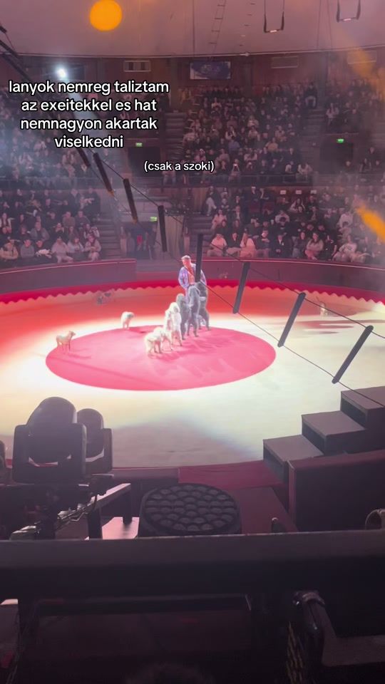 TikTok video thumbnail by barbii_662