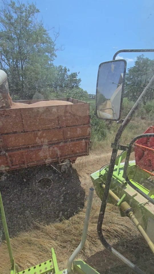 TikTok video thumbnail by marchevtok