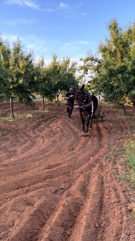 TikTok video thumbnail by mulos.y.su.gente