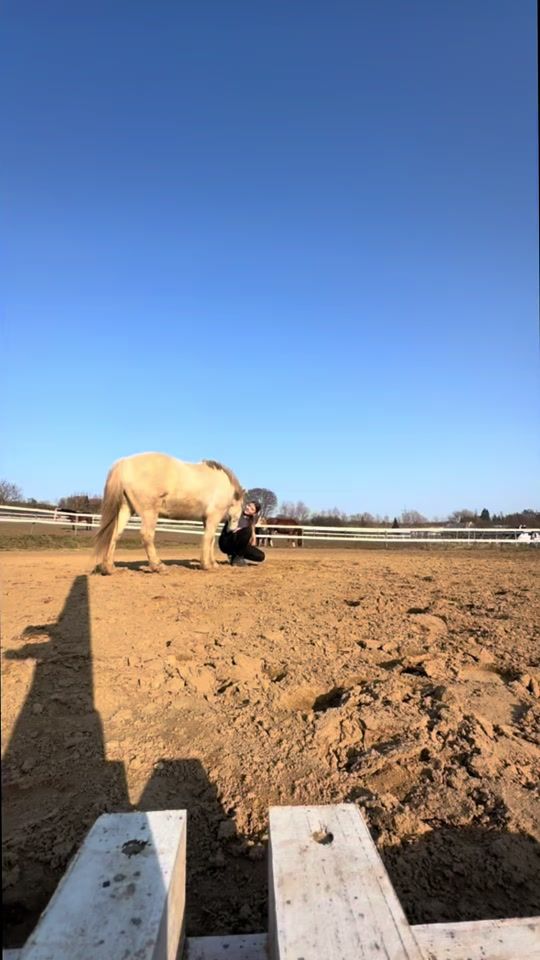 TikTok video thumbnail by eliska_a_zivot_u_koni