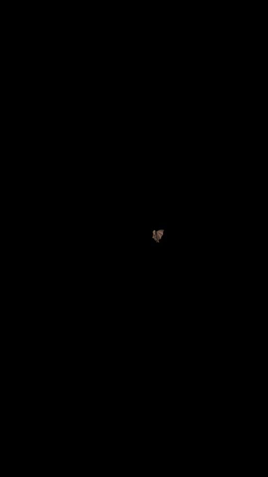 TikTok video thumbnail by ombra1.2