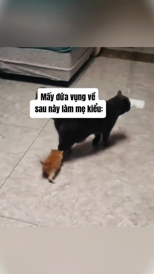 TikTok video thumbnail by camz0_05