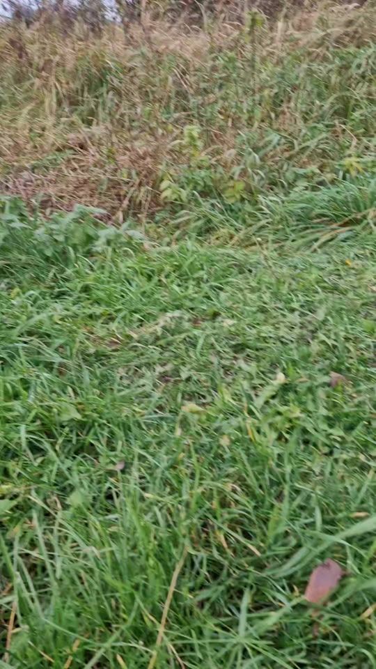 TikTok video thumbnail by pablodetecting