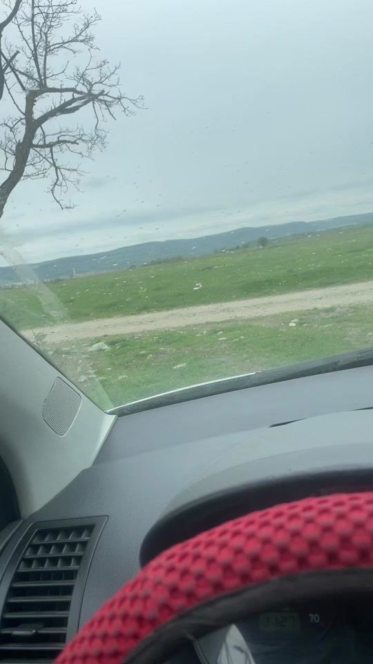 TikTok video thumbnail by 8a_n_a8