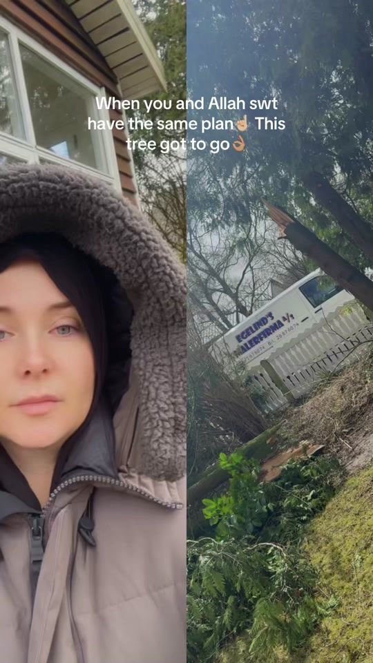 TikTok video thumbnail by lifewith6kidz