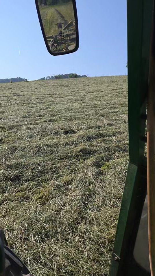 TikTok video thumbnail by landwirtschaft430