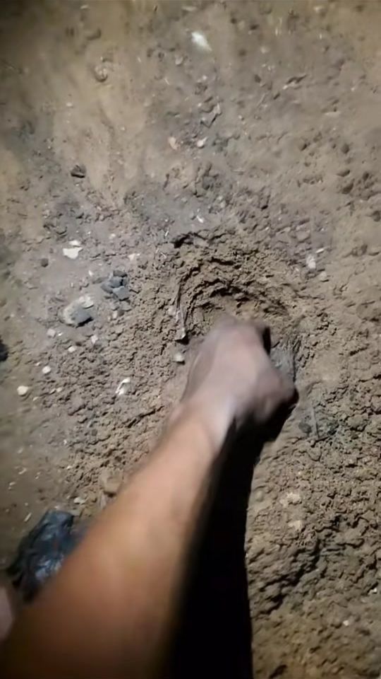 TikTok video thumbnail by professeurs75977406