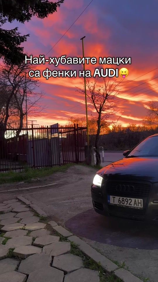TikTok video thumbnail by _.dilekkk._