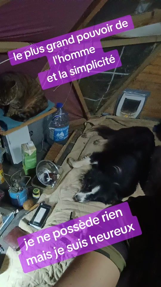 TikTok video thumbnail by pharaoumx5