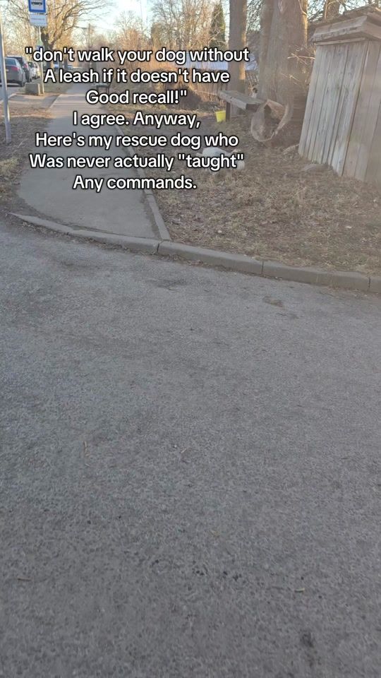 TikTok video thumbnail by toolazy2changethesetting