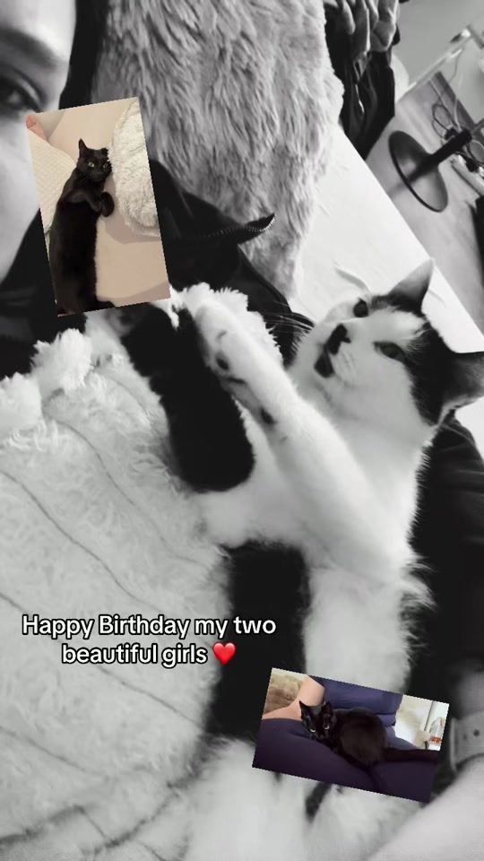 TikTok video thumbnail by violet.ashh