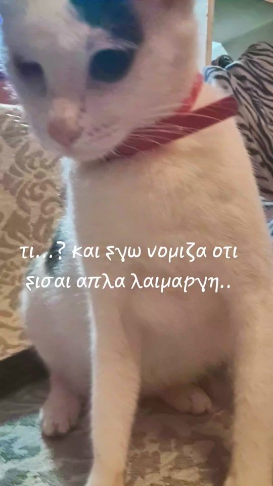 TikTok video thumbnail by martha_rethimno
