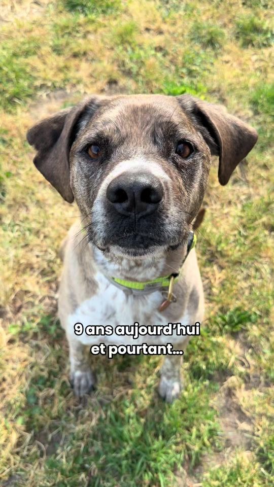 TikTok video thumbnail by nnp.fr