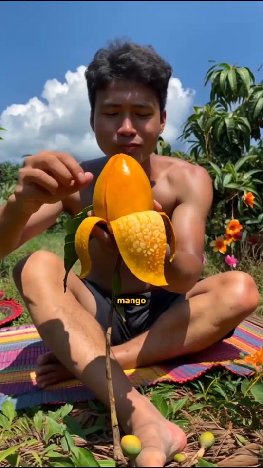 TikTok video thumbnail by lx.vibes0