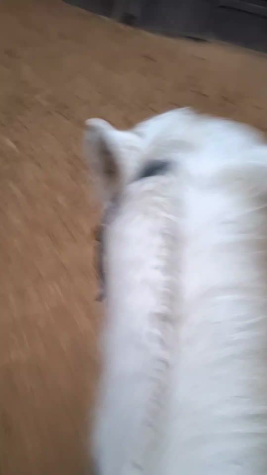 TikTok video thumbnail by lou1s4.rxcky
