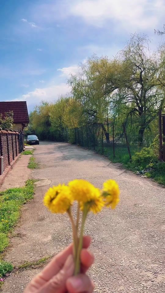 TikTok video thumbnail by khusi_ylm