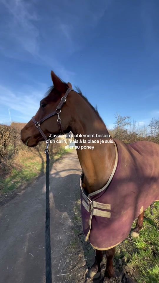 TikTok video thumbnail by m_equitt