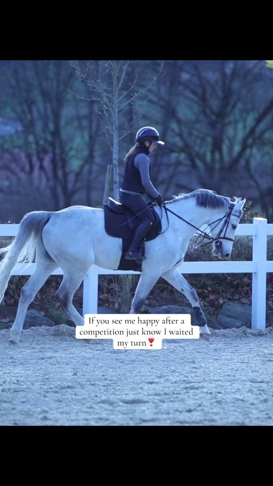 TikTok video thumbnail by stella_showjumping_