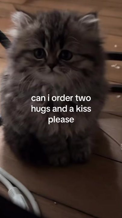 TikTok video thumbnail by alice.cattok