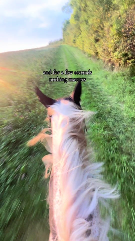 TikTok video thumbnail by milow.soraya