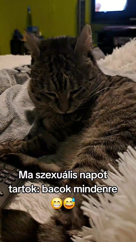 TikTok video thumbnail by perlandi