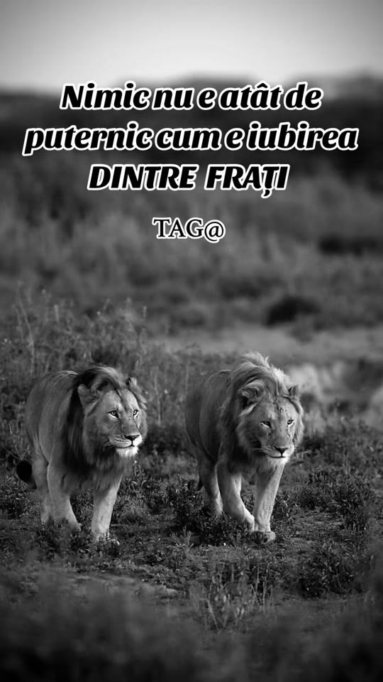 TikTok video thumbnail by dfd.music