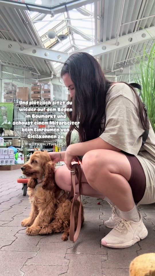 TikTok video thumbnail by land.blume